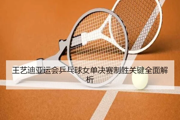 wang-yi-di-ya-yun-hui-ping-pang-qiu-nv-dan-jue-sai-zhi-sheng-guan-jian-quan-mian-jie-xi-2-446.jpg